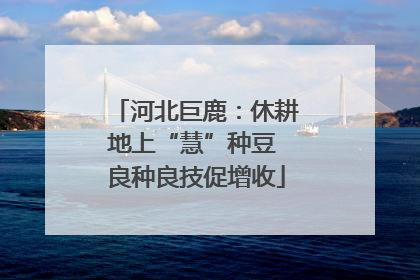 河北巨鹿：休耕地上“慧”种豆 良种良技促增收